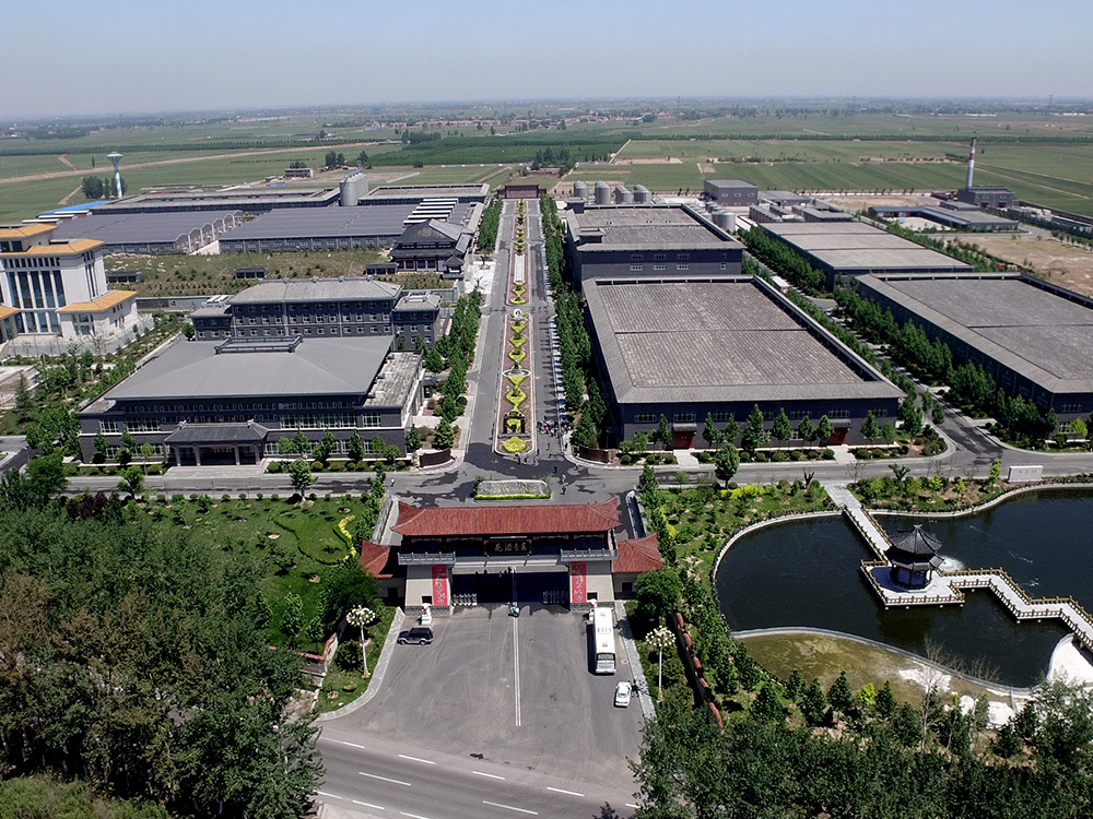 酒苑大门鸟瞰图